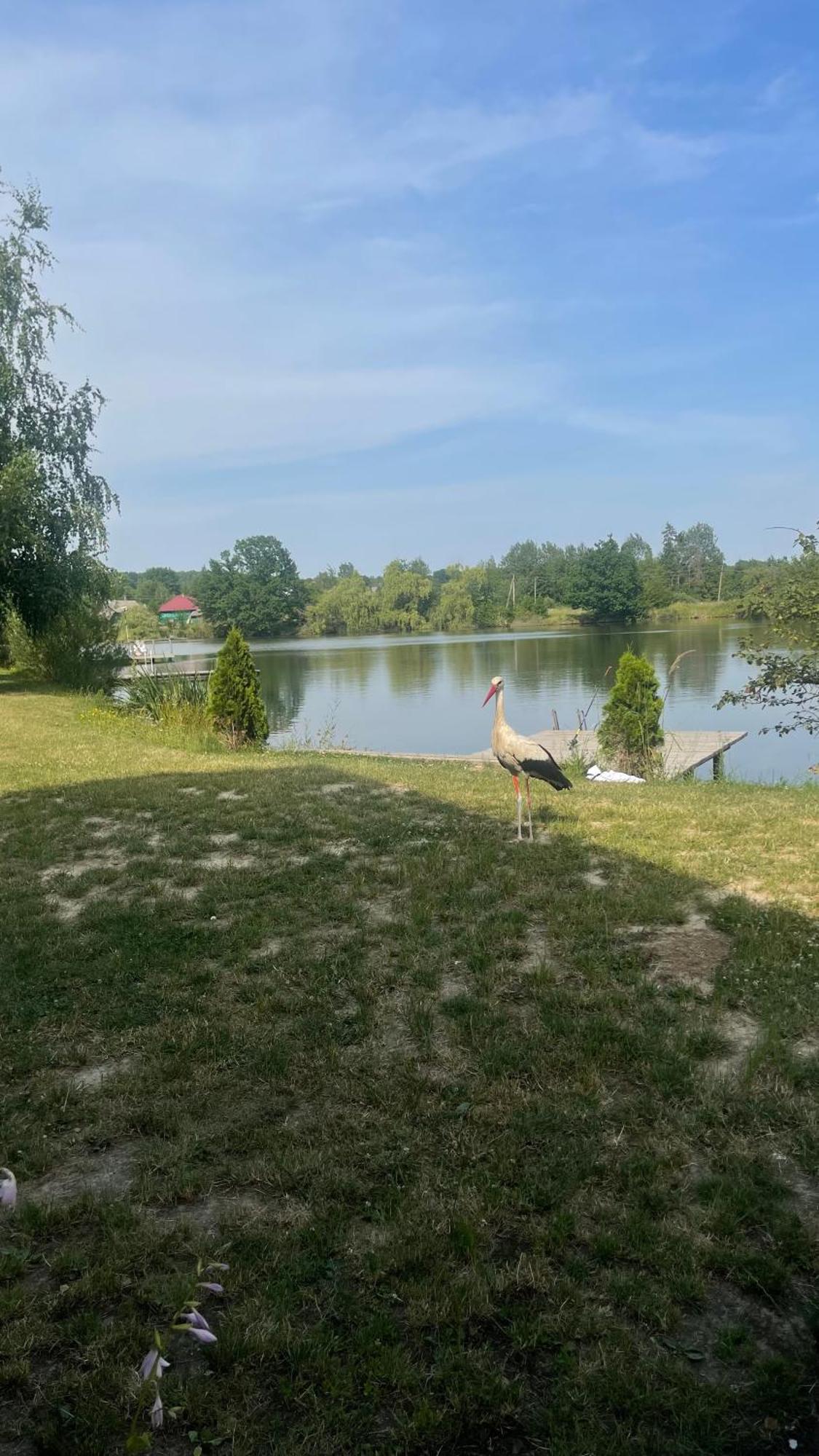 Перлина Буковини Lipovans Bagian luar foto